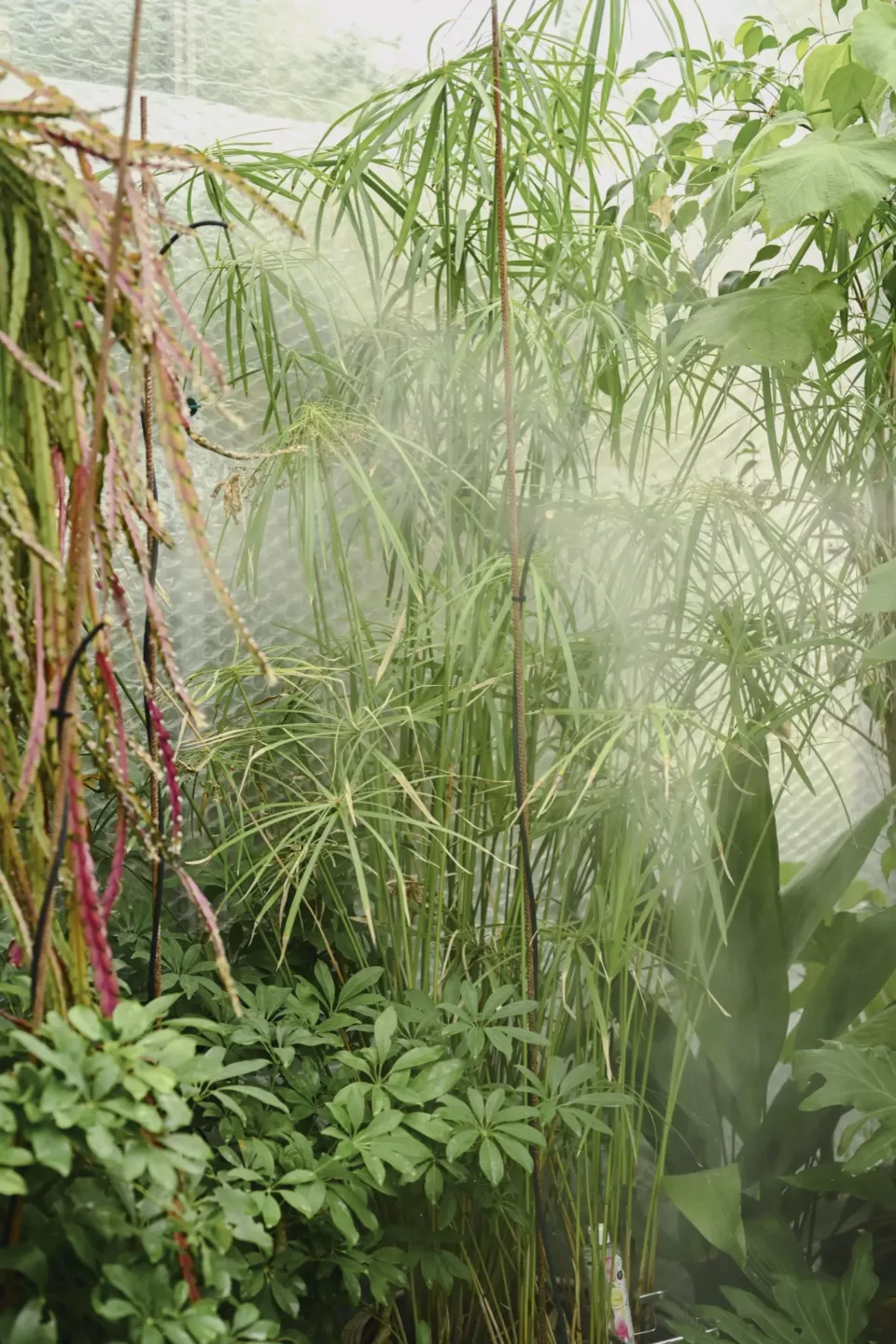 Ontwerpen met onderzoek als basis