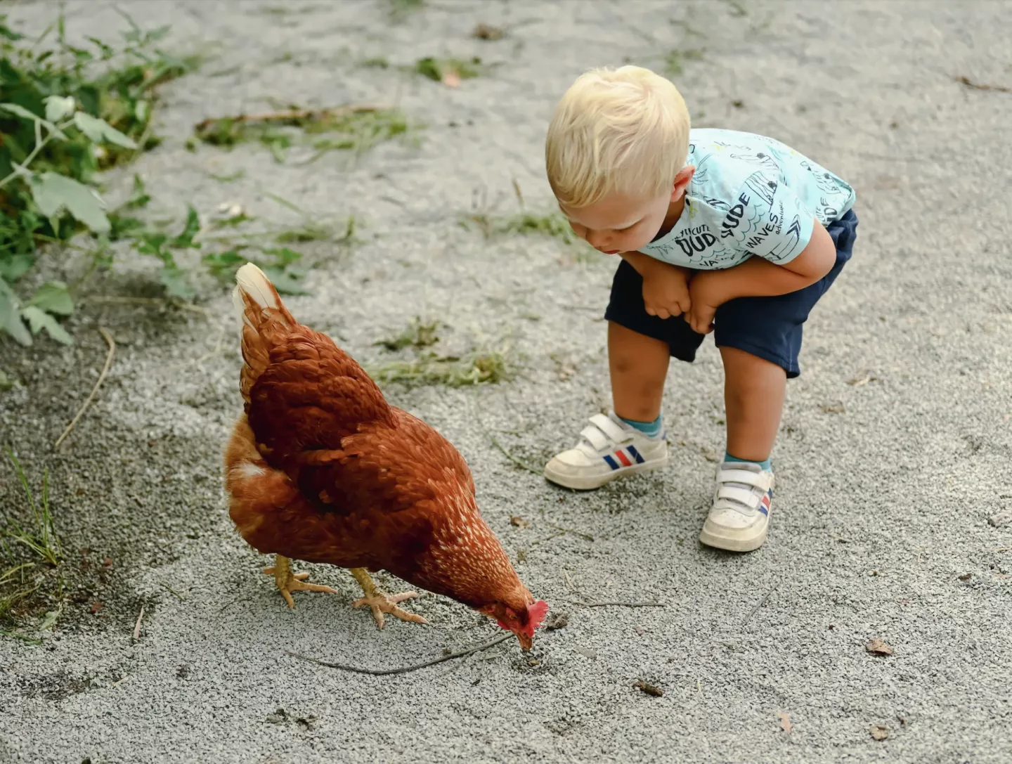 Ontwerpen met onderzoek als basis