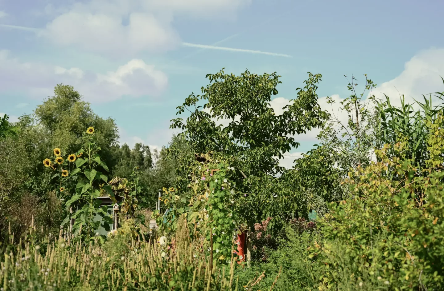 Ontwerpen met onderzoek als basis