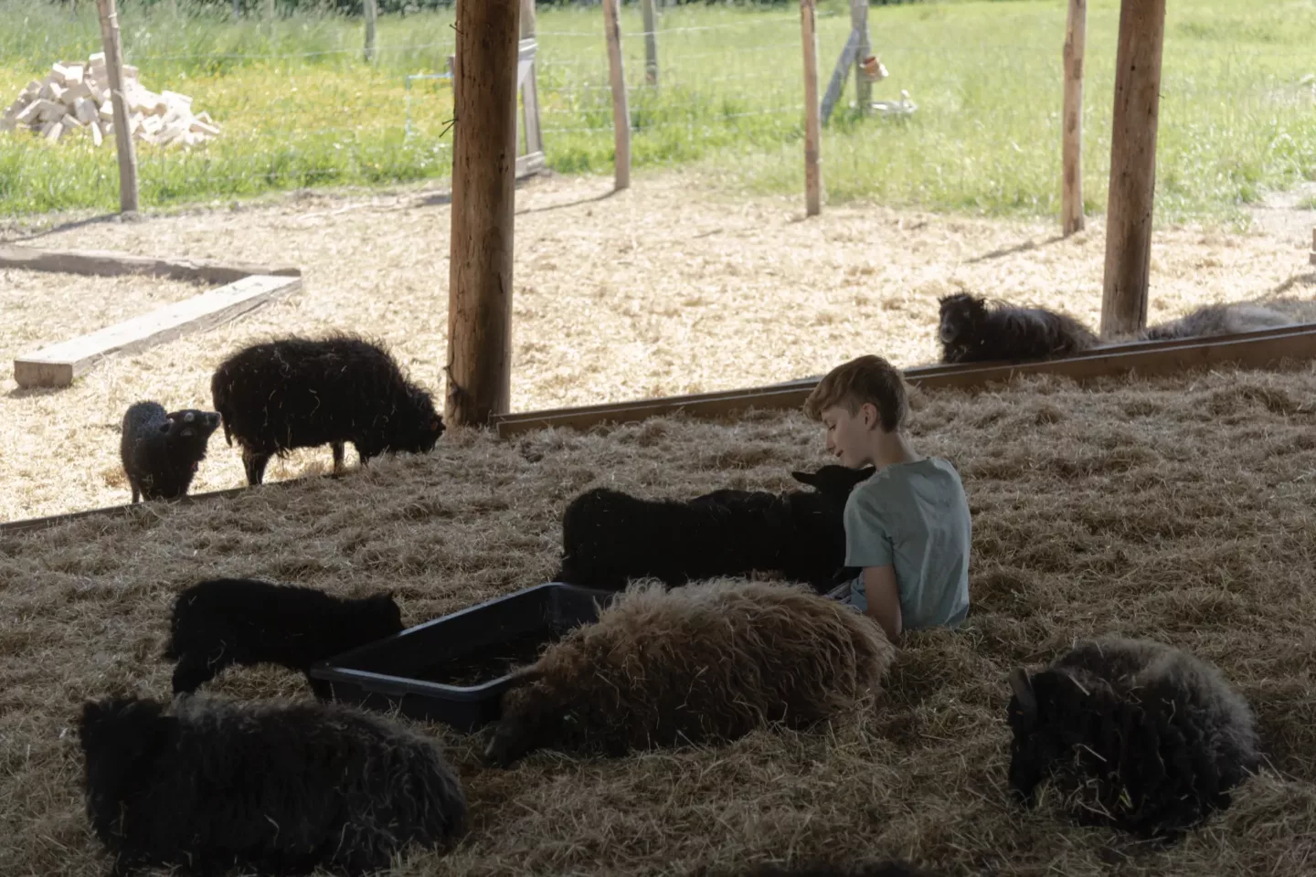 Ontwerpen met onderzoek als basis