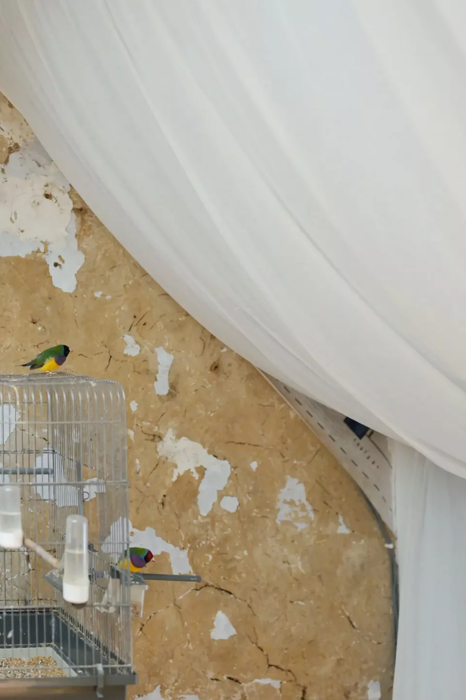 Ontwerpen met onderzoek als basis