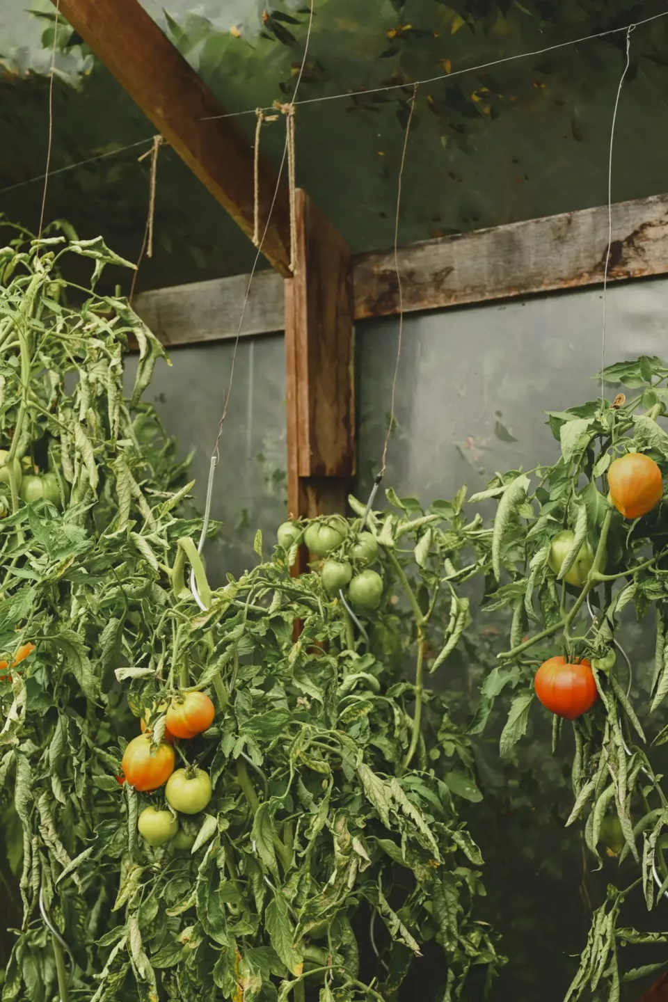 Ontwerpen met onderzoek als basis