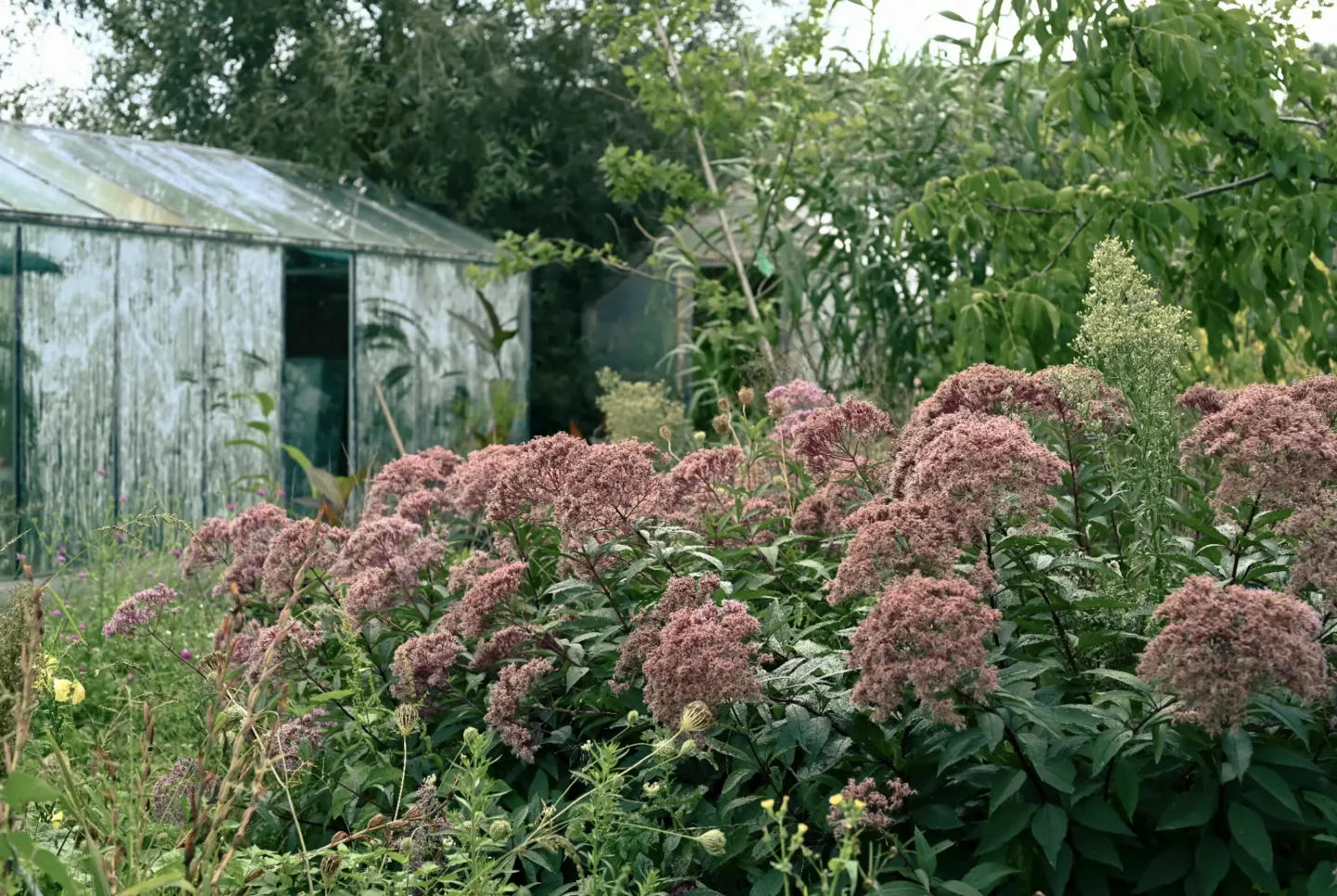 Ontwerpen met onderzoek als basis