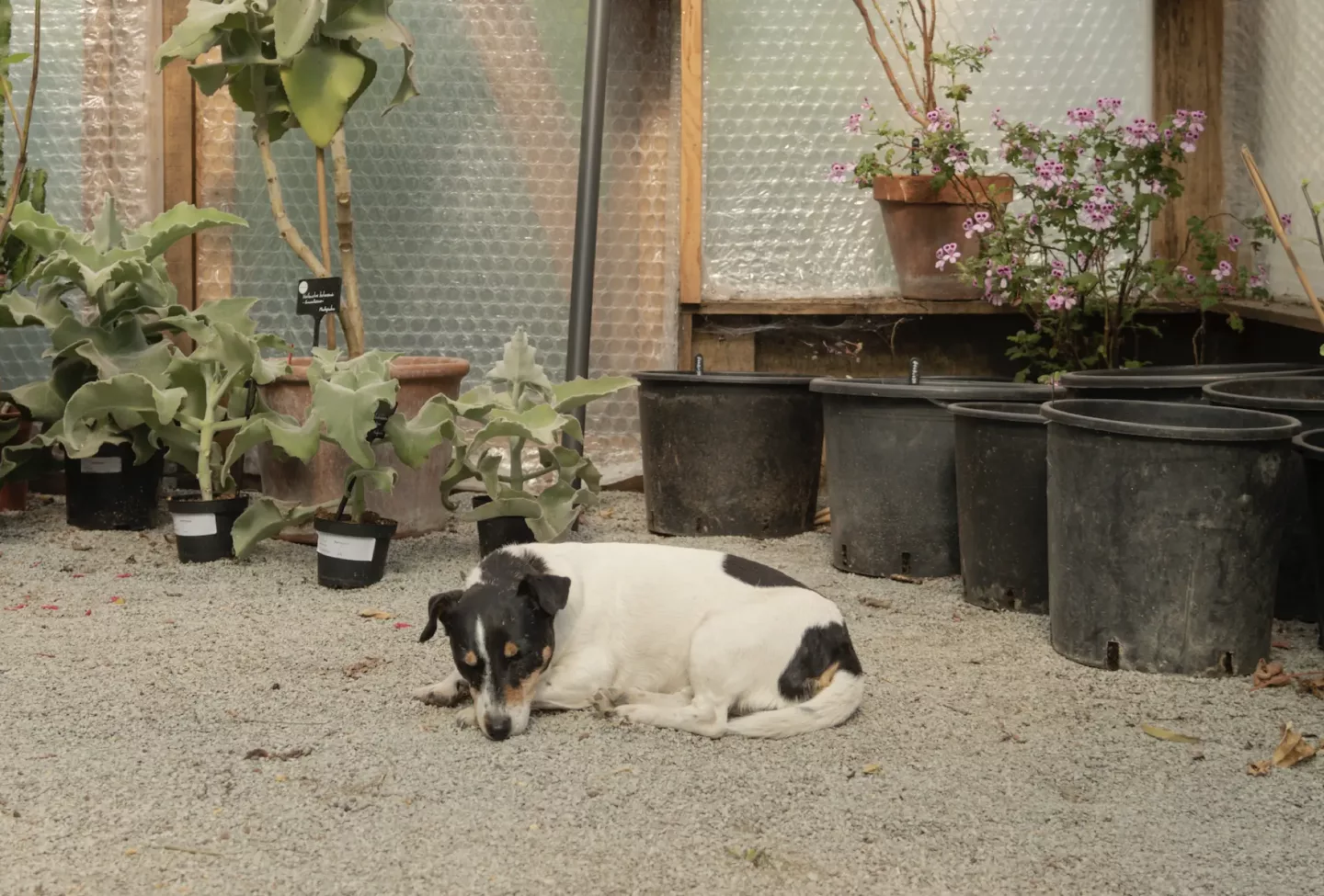 Ontwerpen met onderzoek als basis