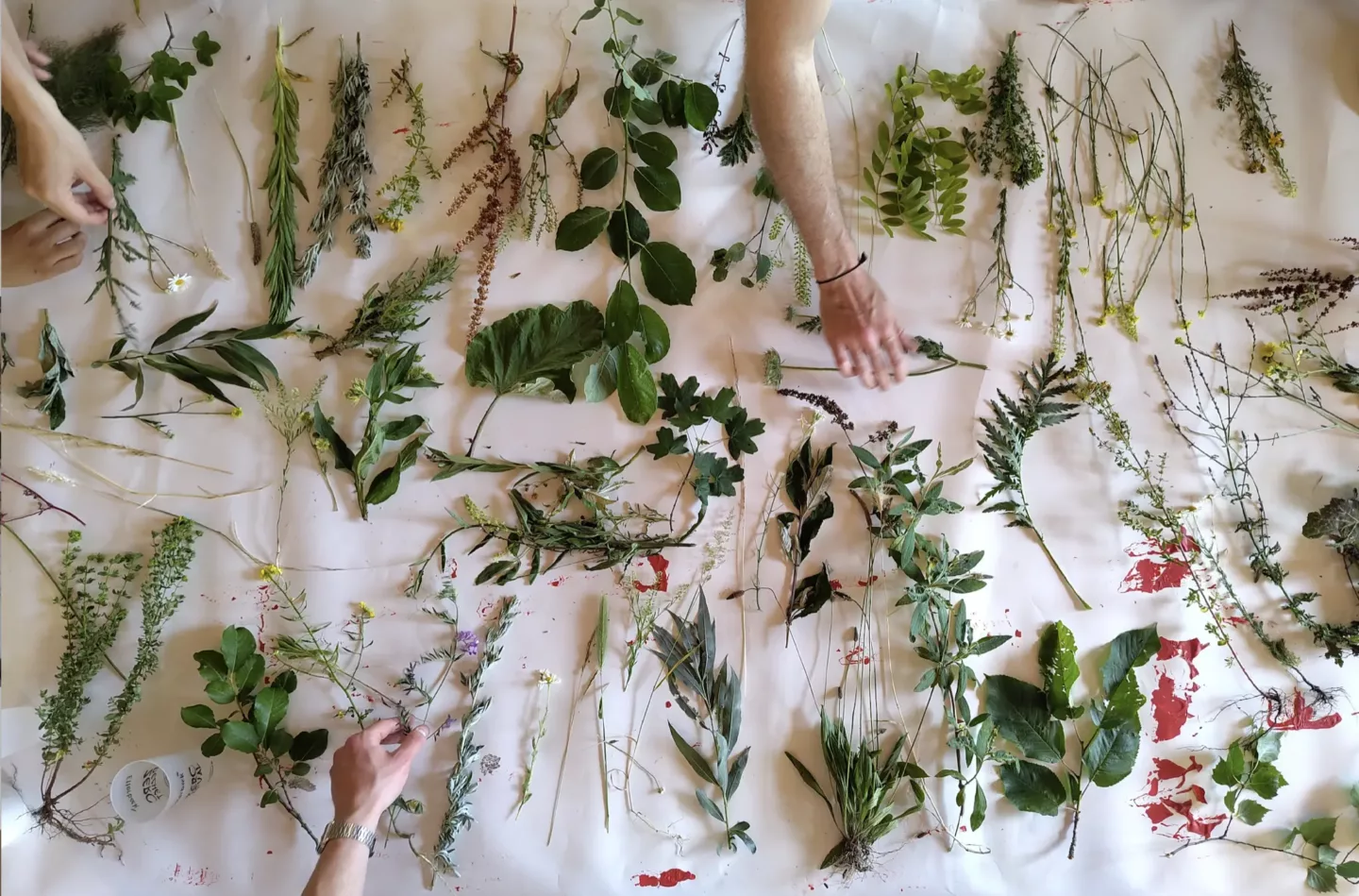 ontwerpen met de natuur