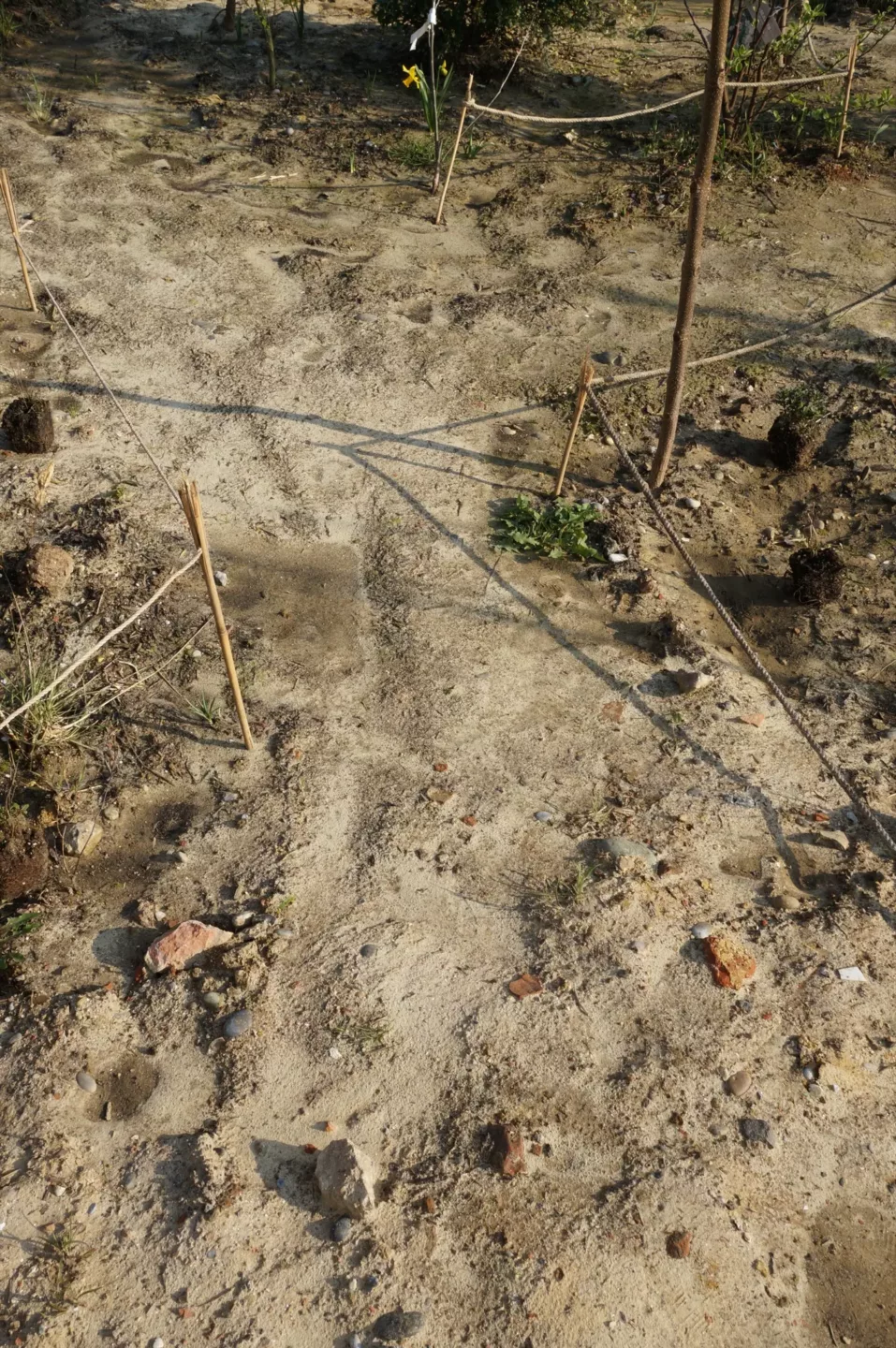 ontwerpen met de natuur