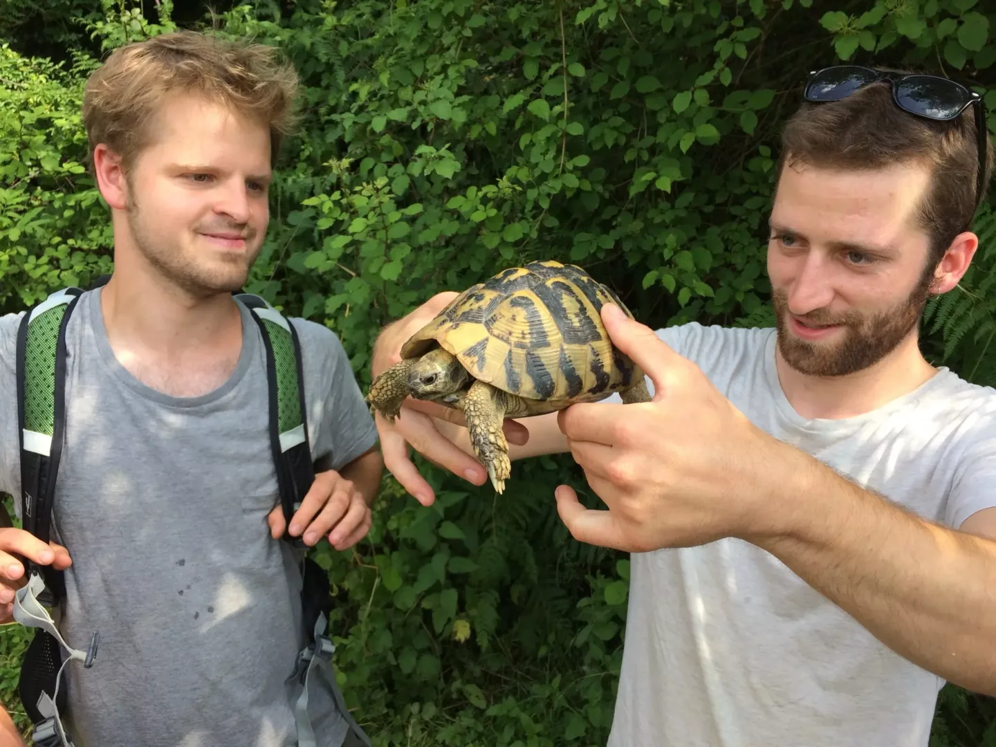 ontwerpen met de natuur