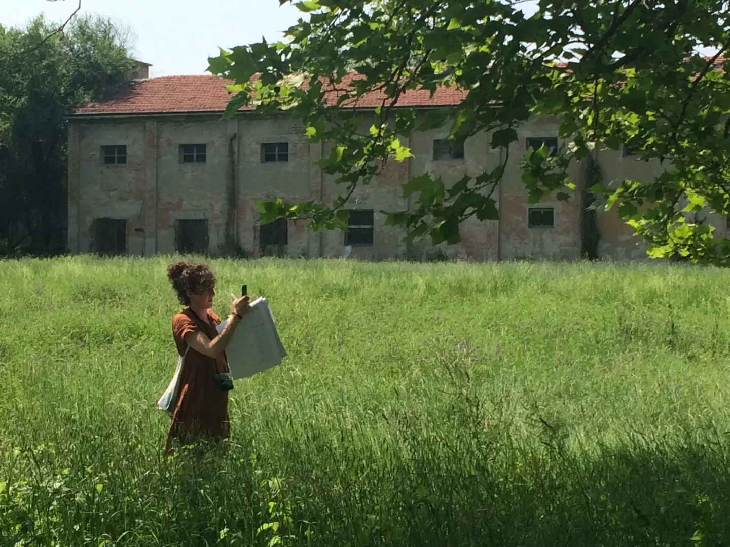 ontwerpen met de natuur