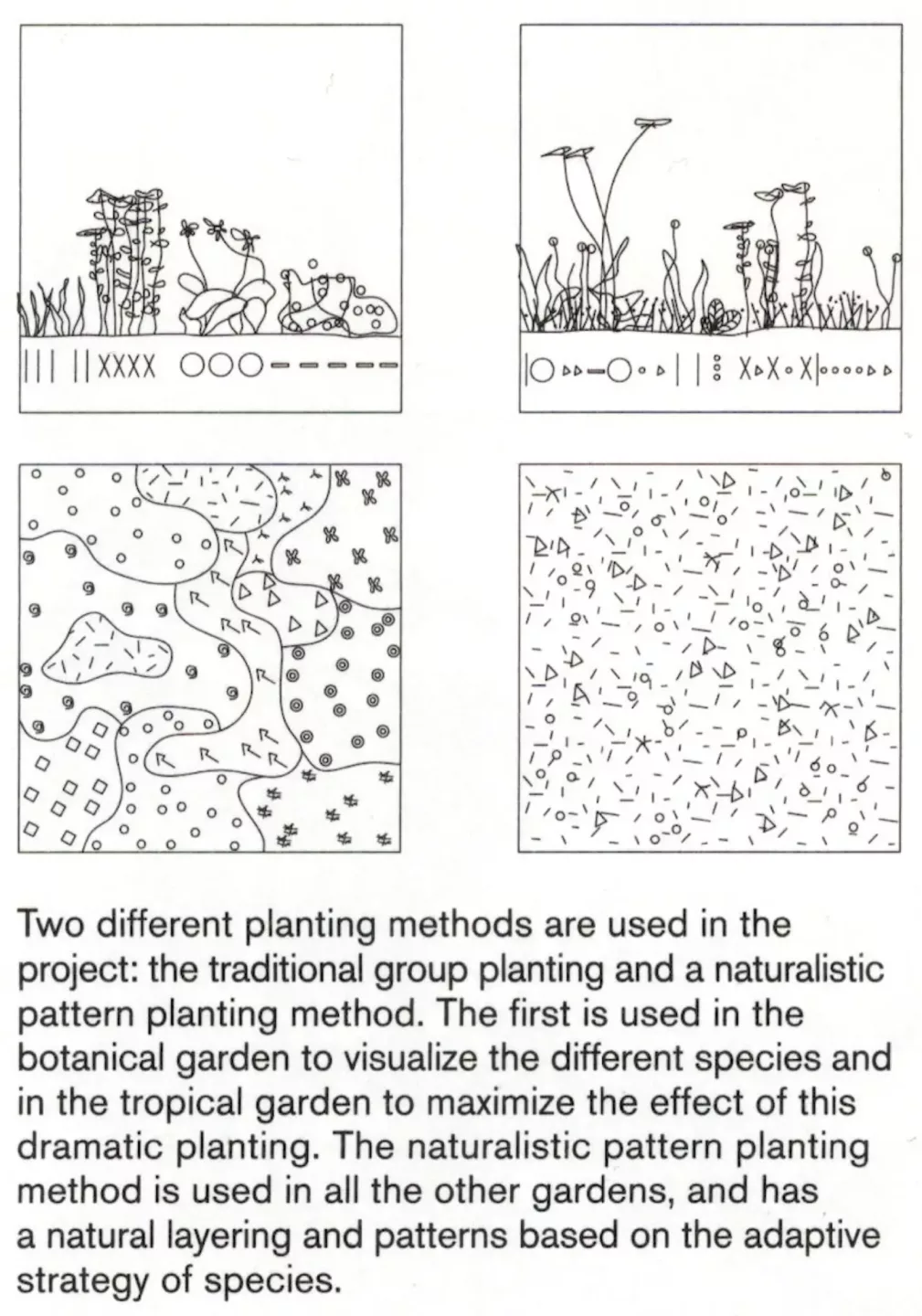 ontwerpen met de natuur