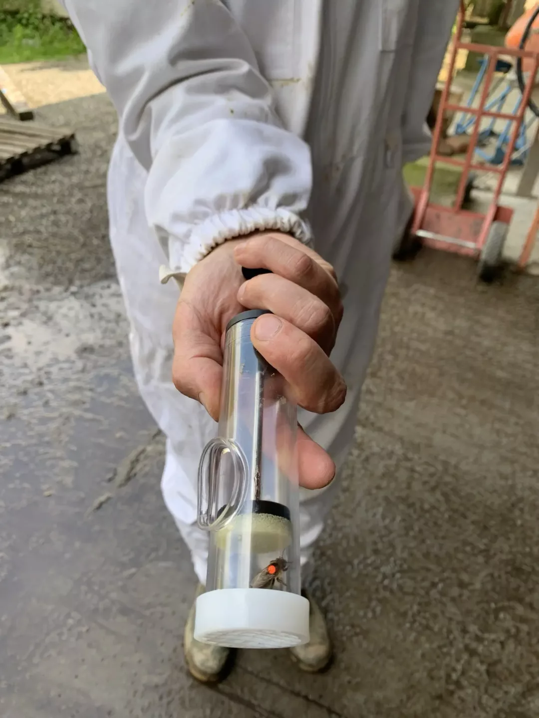 ontwerpen met de natuur