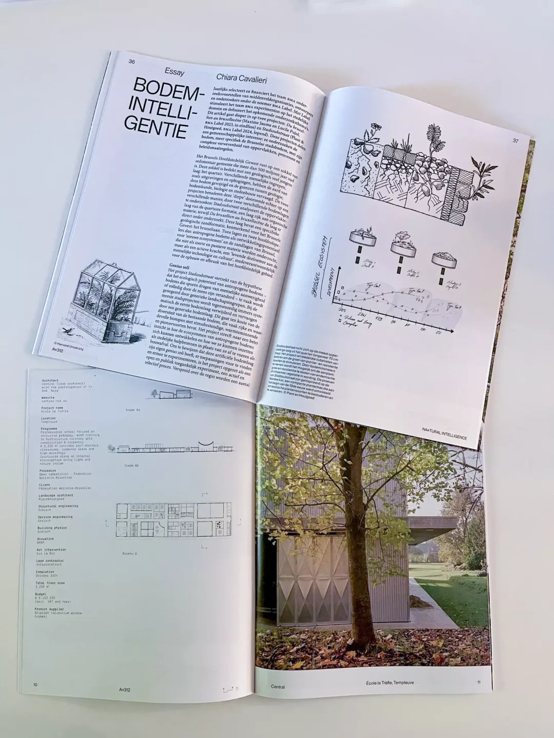 ontwerpen met de natuur