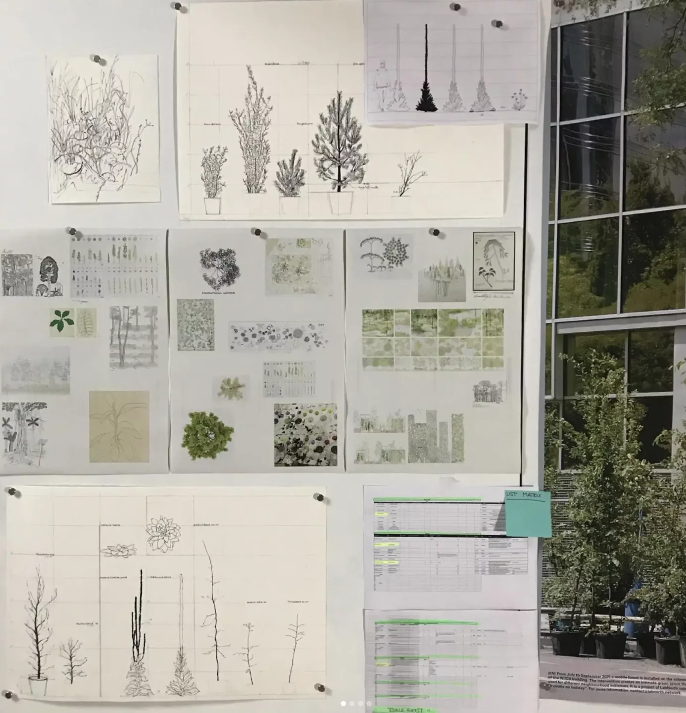 ontwerpen met de natuur