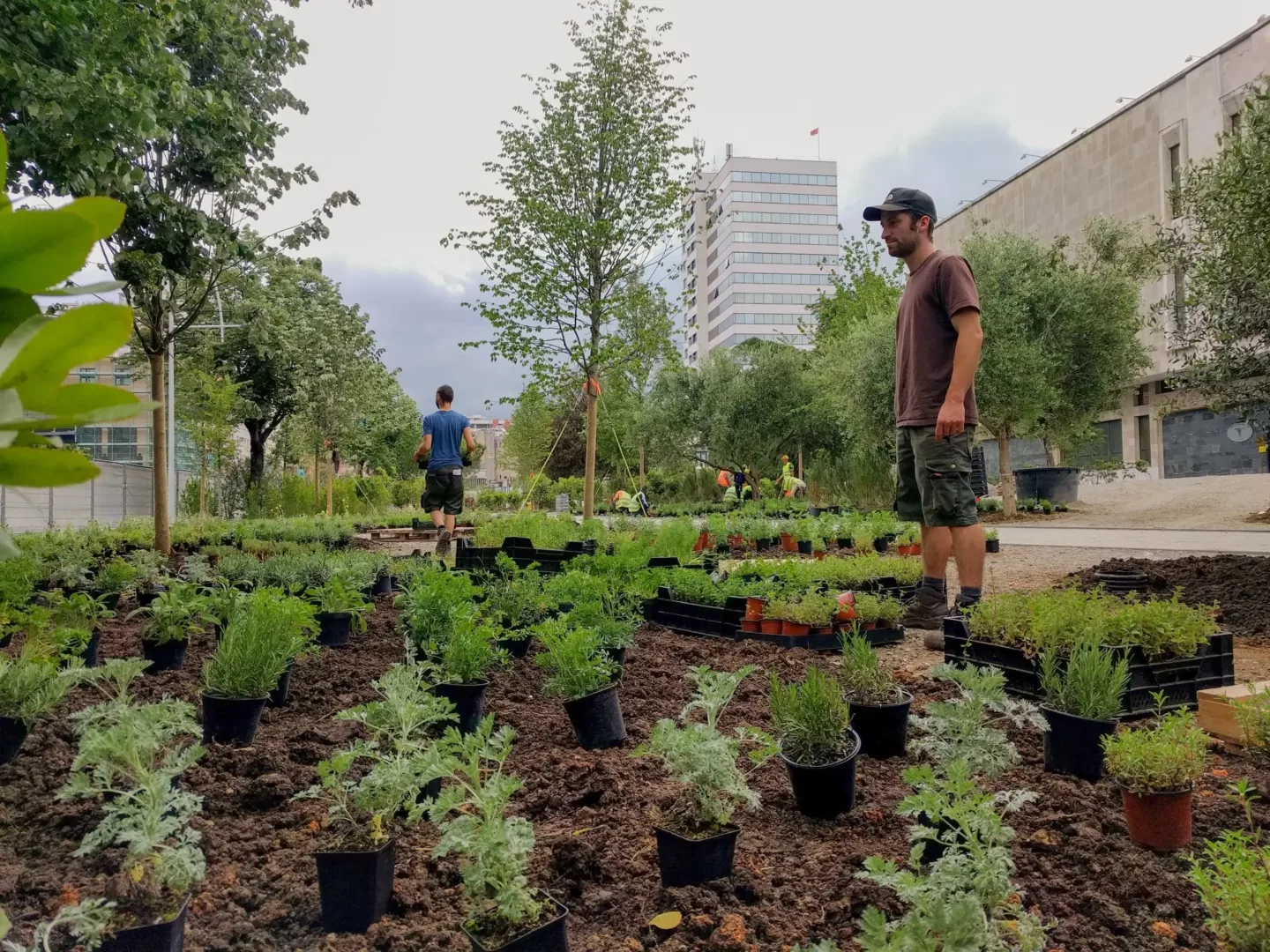 ontwerpen met de natuur