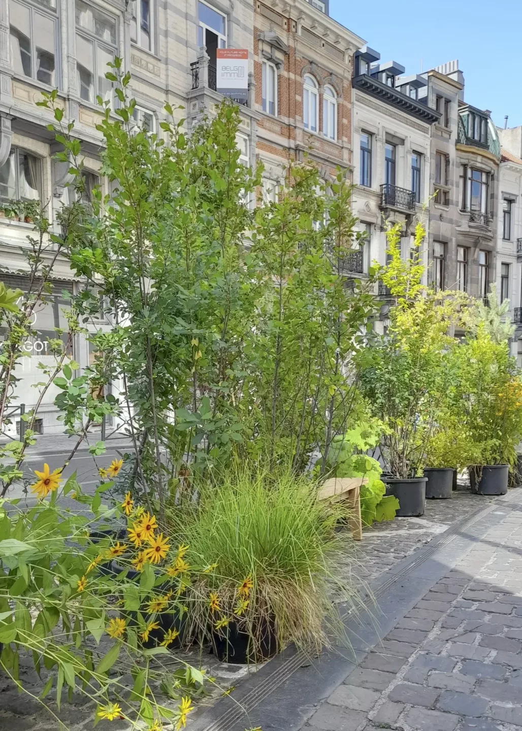 Scenografieën en tijdelijke installaties