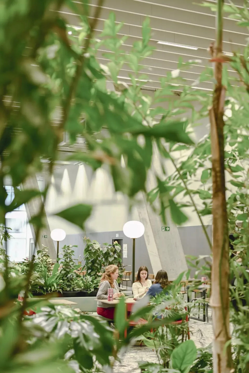 Scenografieën en tijdelijke installaties