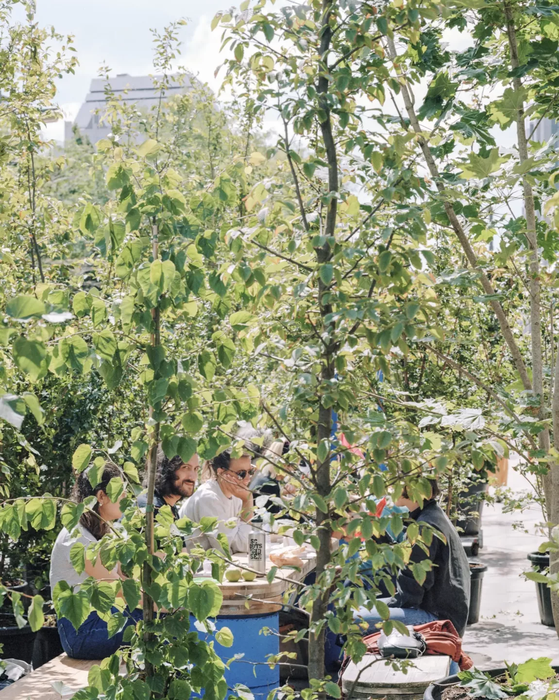 Scenografieën en tijdelijke installaties