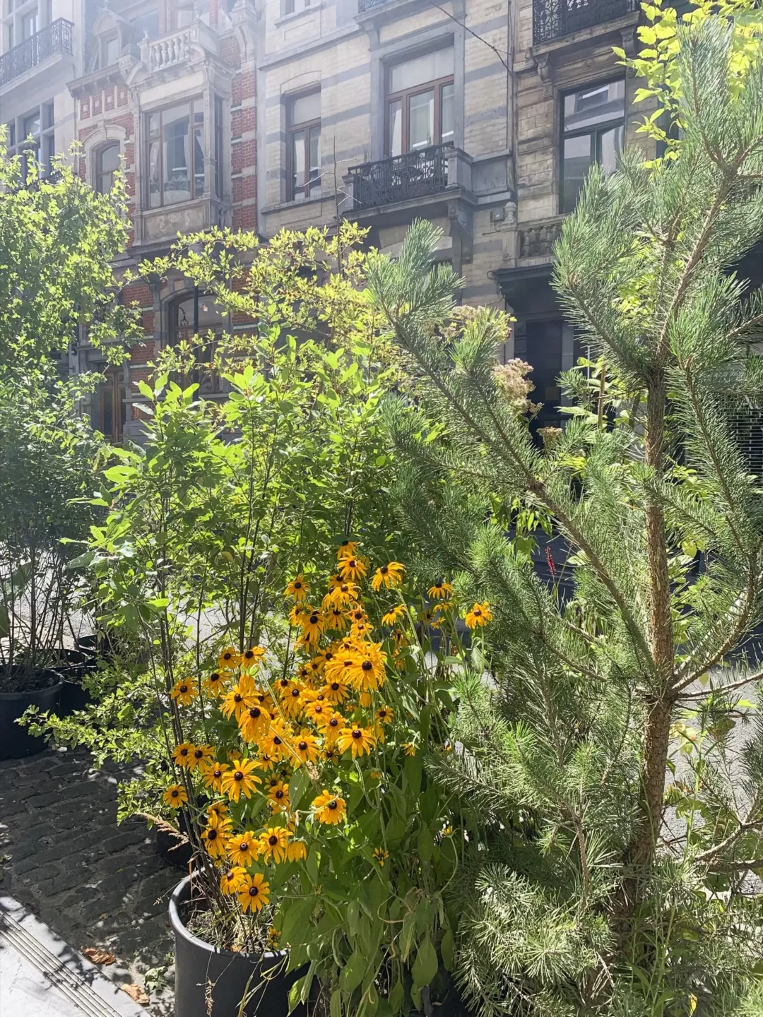 Scenografieën en tijdelijke installaties