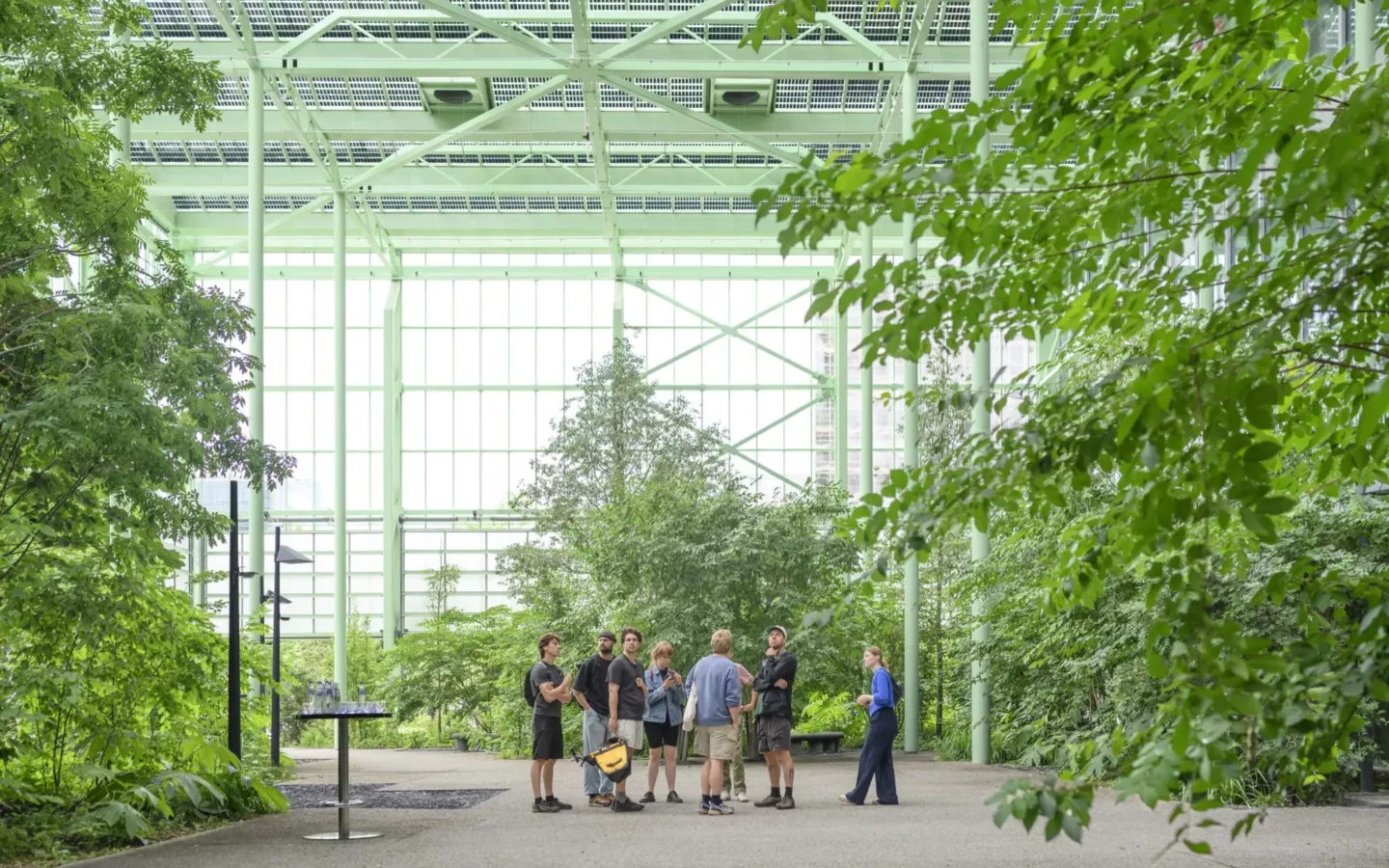 Ontwerp en aanleg van publieke ruimte