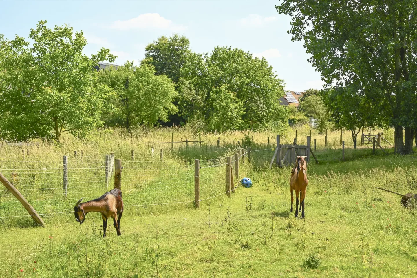 Ontwerp en aanleg van zorglandschappen