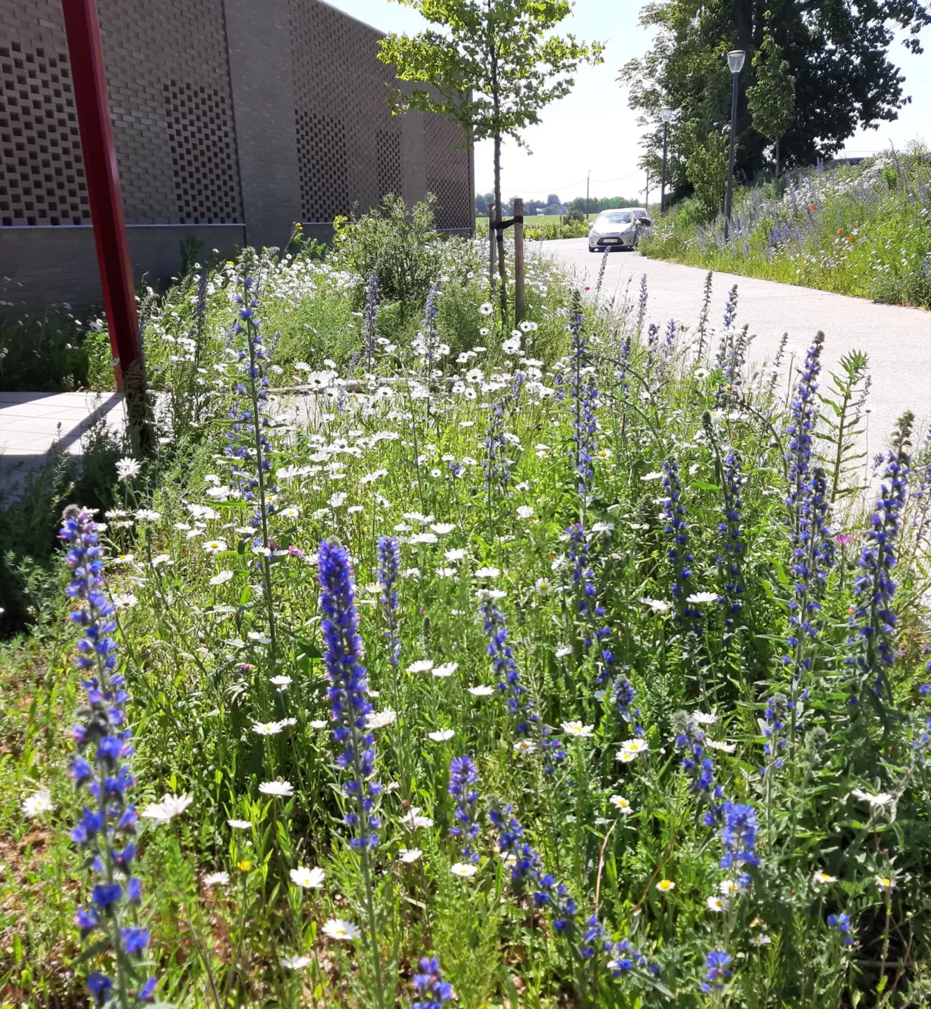 Ontwerp en aanleg van zorglandschappen