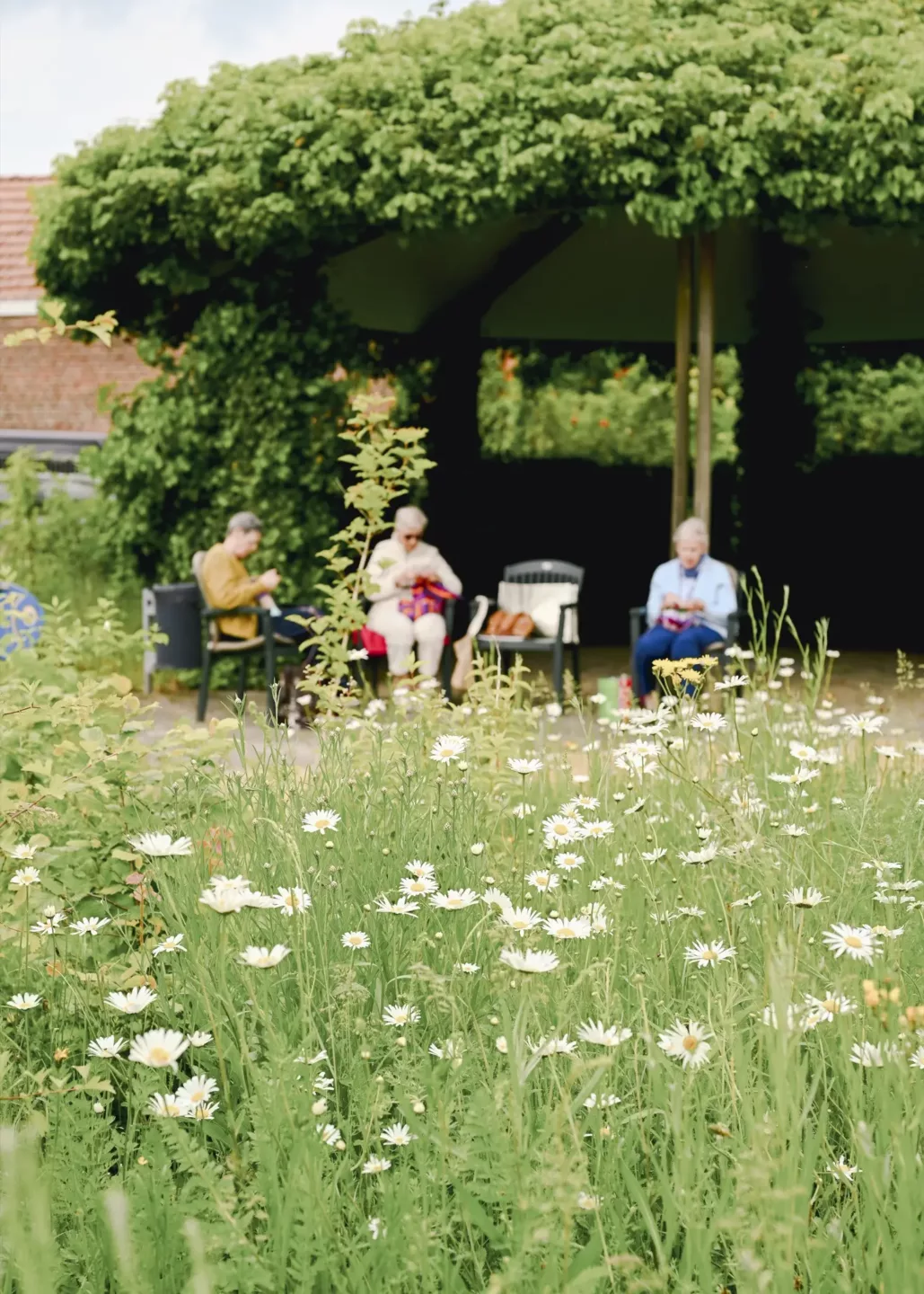 Ontwerp en aanleg van zorglandschappen