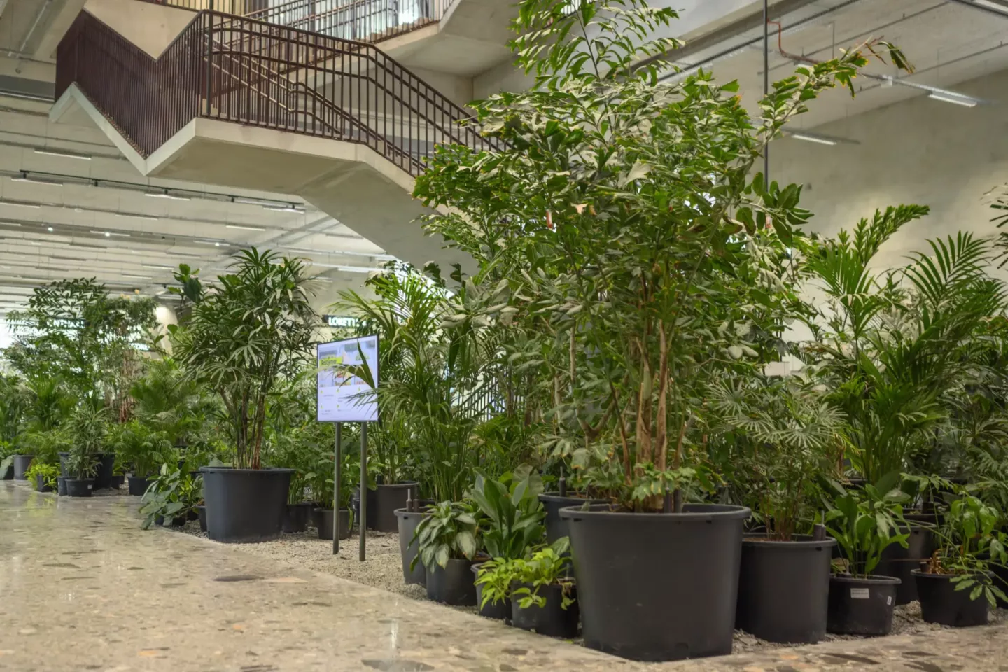 Indoor-ecosystemen, de natuur binnen brengen