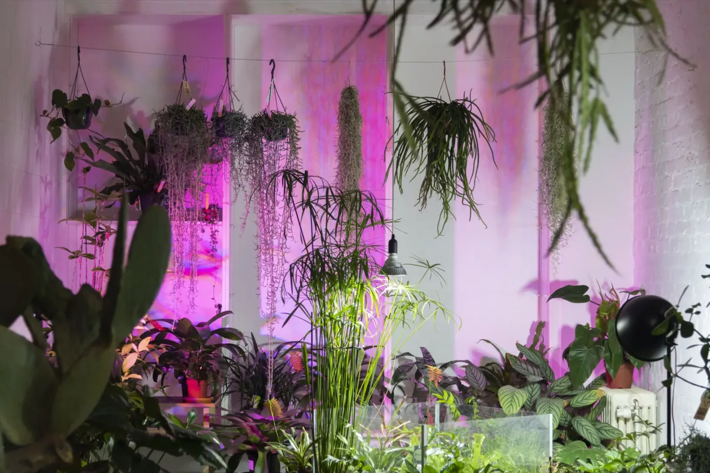 Van idee tot realisatie