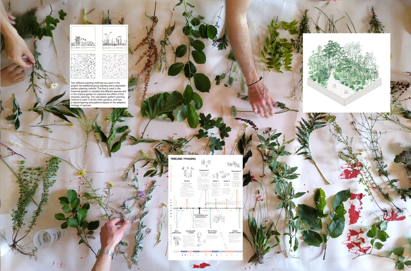 Participatief proces en ontwerptraject