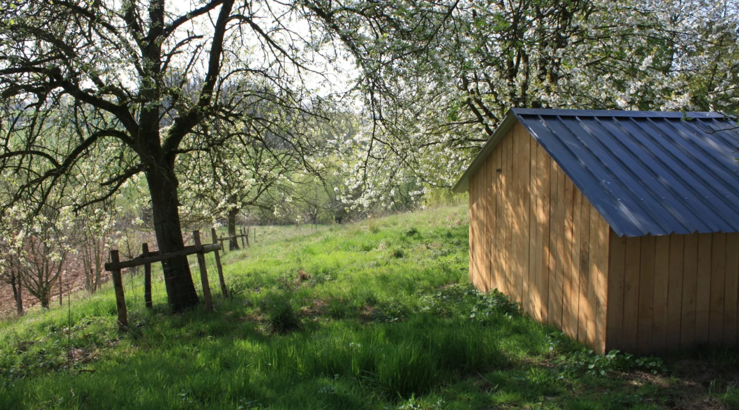 Van idee tot uitvoering