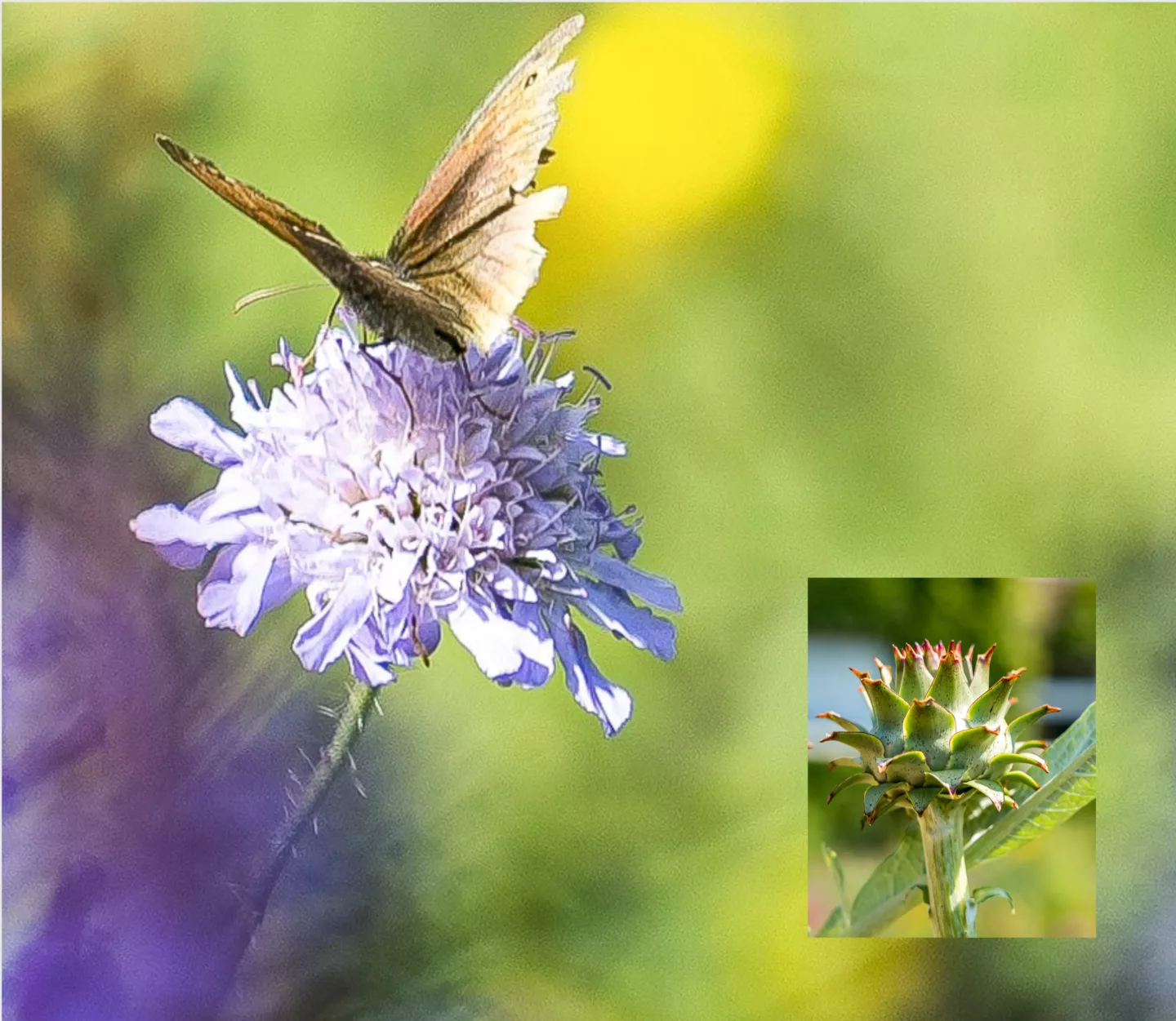 Beheer, onderhoud en nazorg
