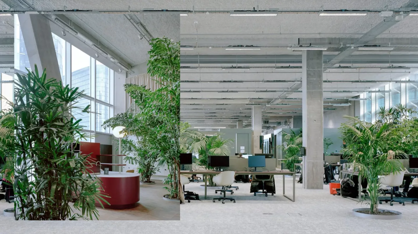 Indoor-ecosystemen, de natuur binnen brengen