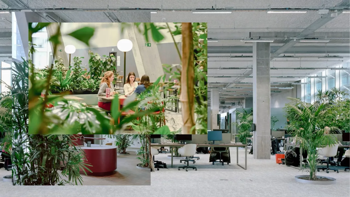 Indoor-ecosystemen, de natuur binnen brengen