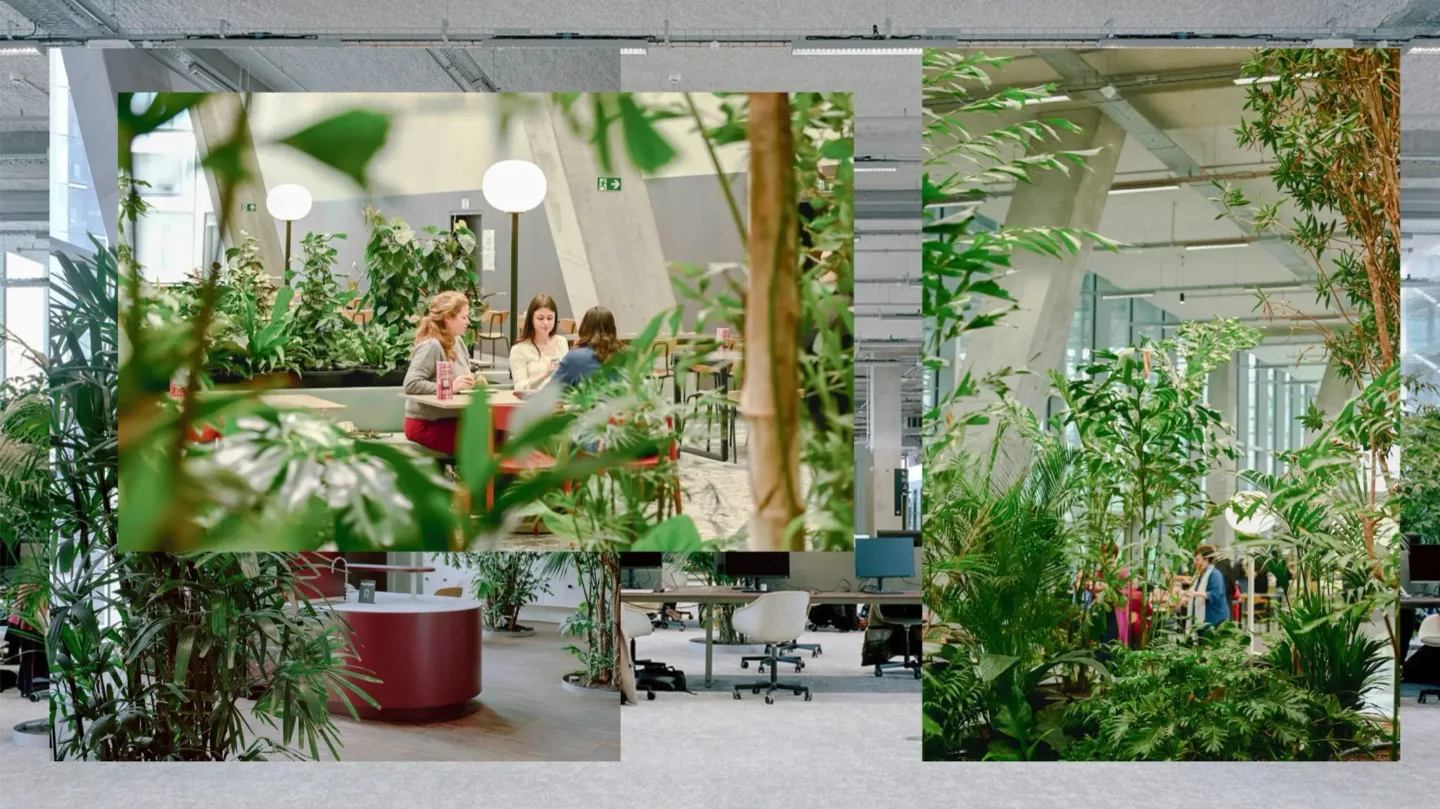 Indoor-ecosystemen, de natuur binnen brengen