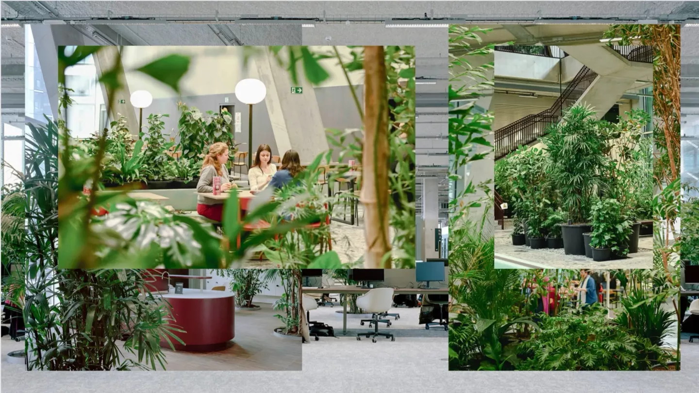 Indoor-ecosystemen, de natuur binnen brengen