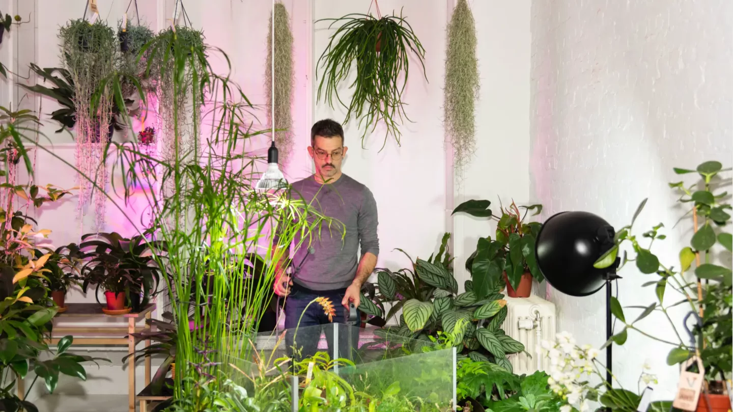 Van idee tot realisatie