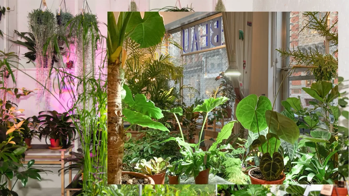 Van idee tot realisatie