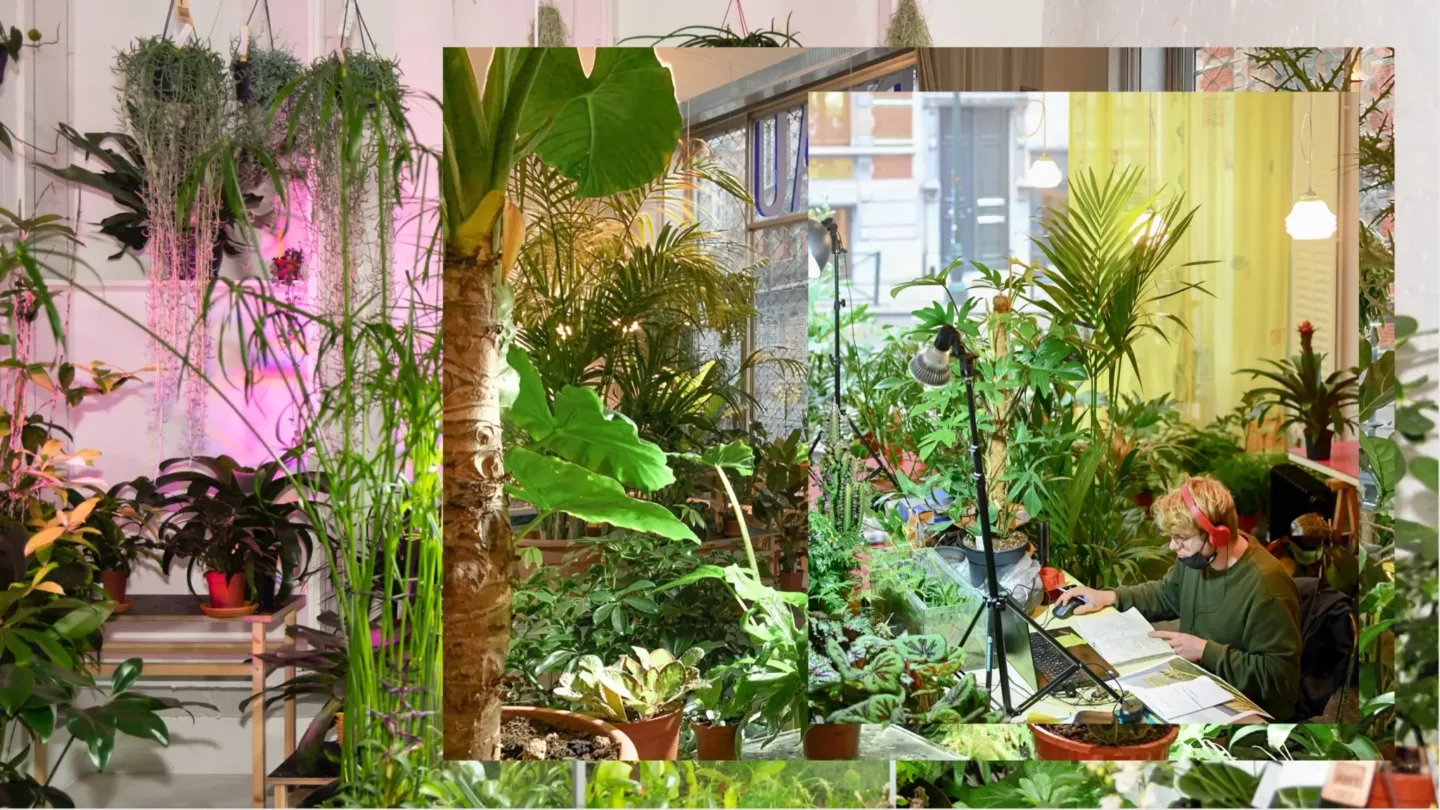 Van idee tot realisatie