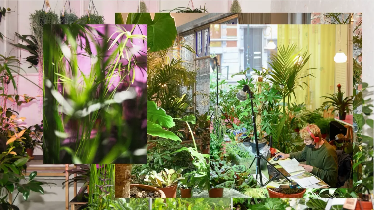 Van idee tot realisatie