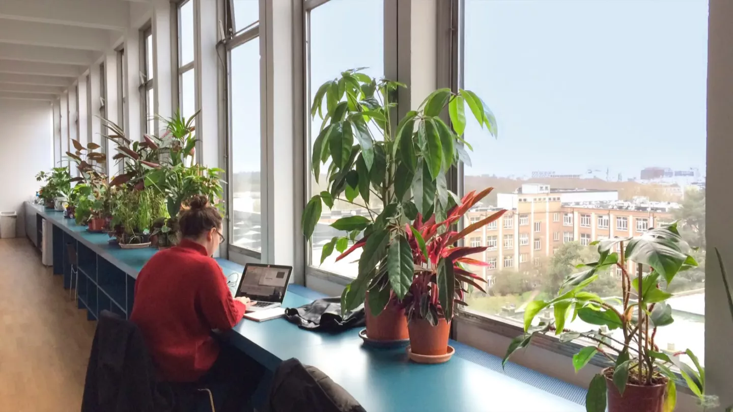 Indoor-ecosystemen, de natuur binnen brengen