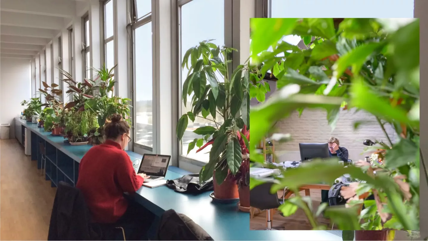 Indoor-ecosystemen, de natuur binnen brengen