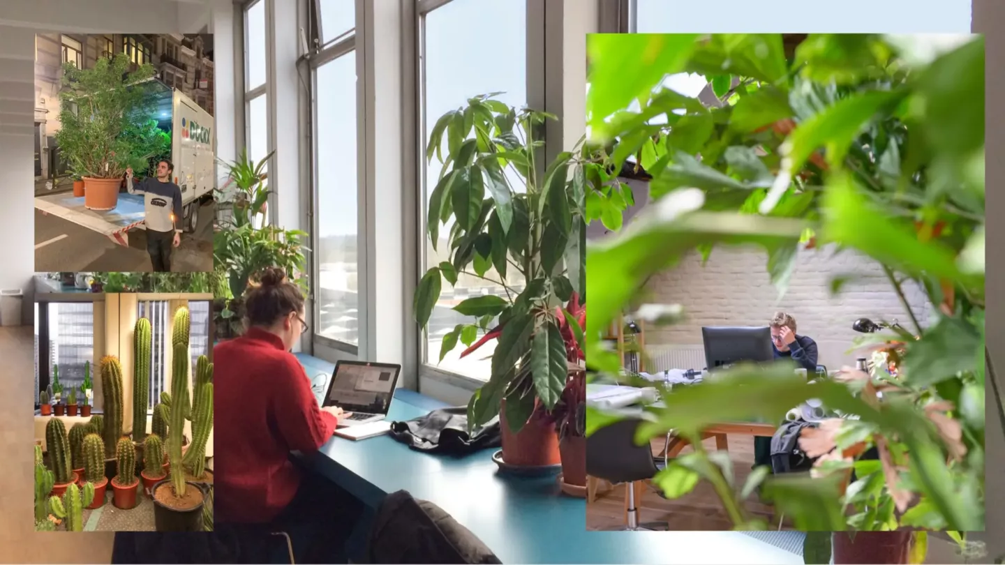 Indoor-ecosystemen, de natuur binnen brengen