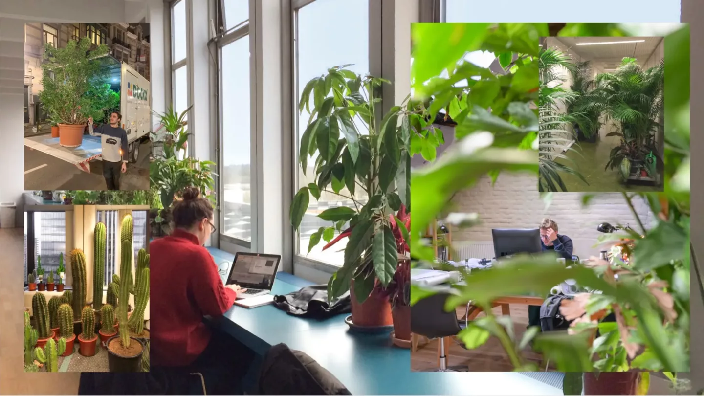 Indoor-ecosystemen, de natuur binnen brengen