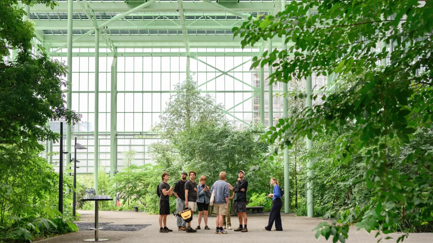 Een ecosysteem op maat