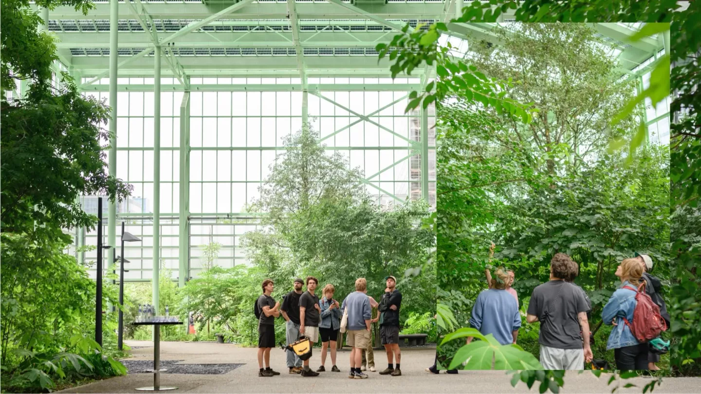 Een ecosysteem op maat