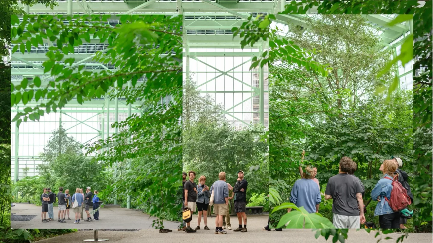 Een ecosysteem op maat