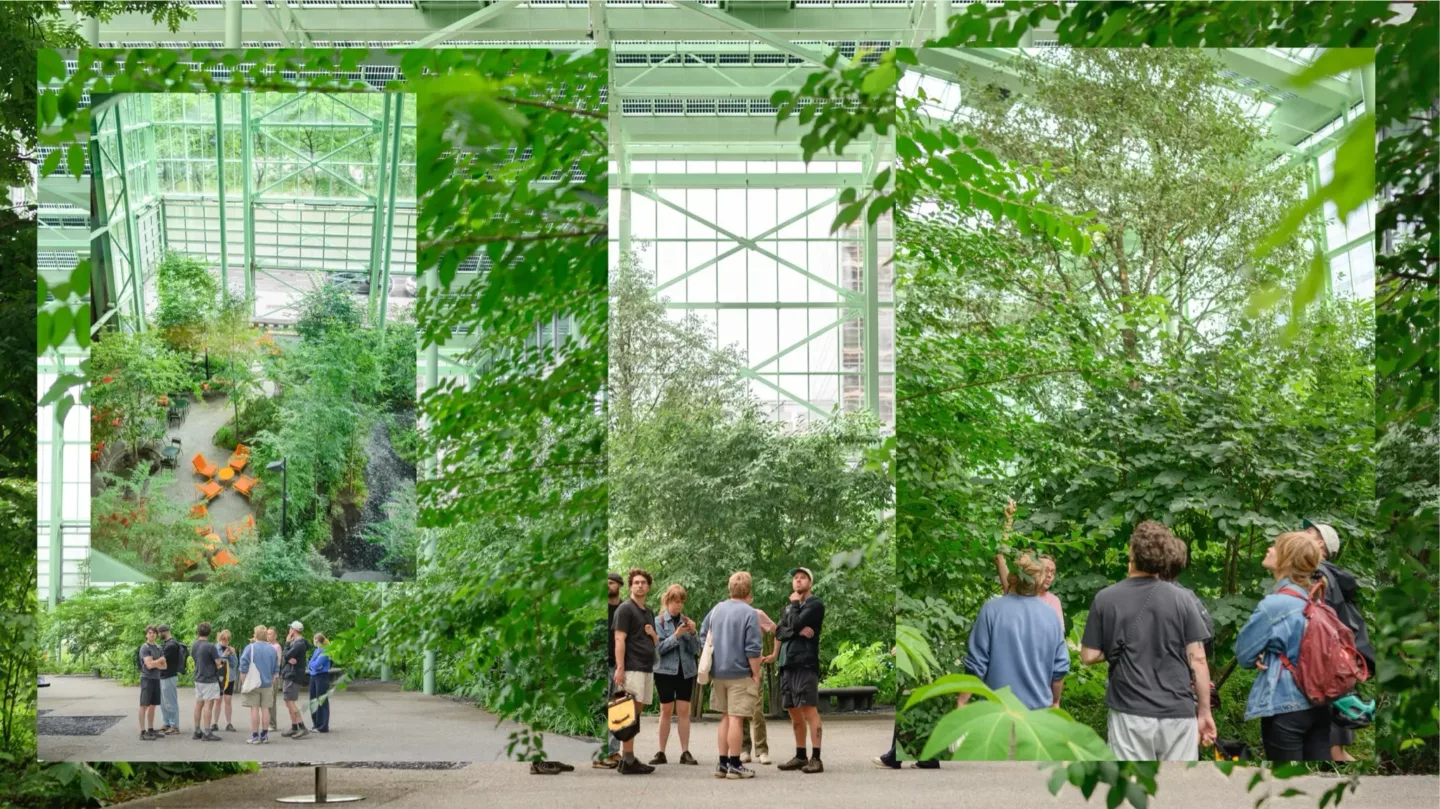 Een ecosysteem op maat