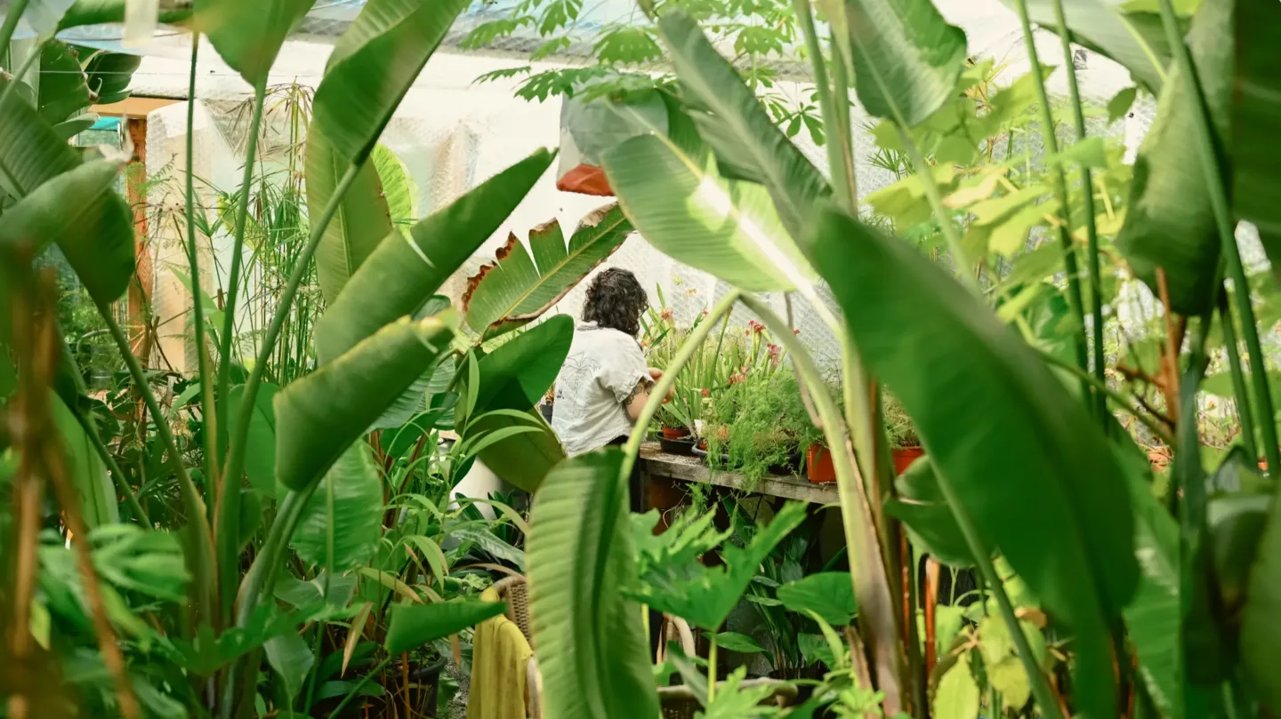 Van idee tot realisatie