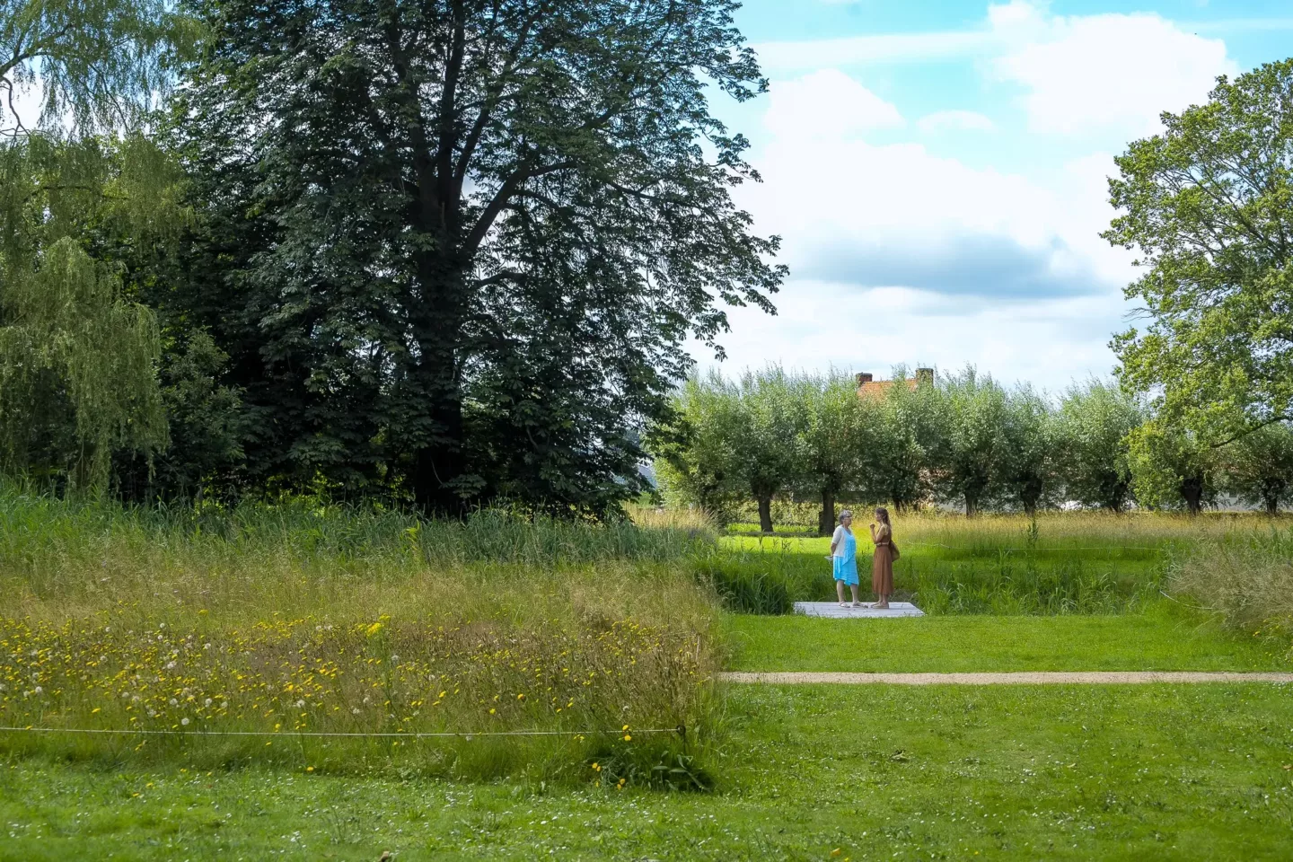 Ontwerp en aanleg van publieke ruimte