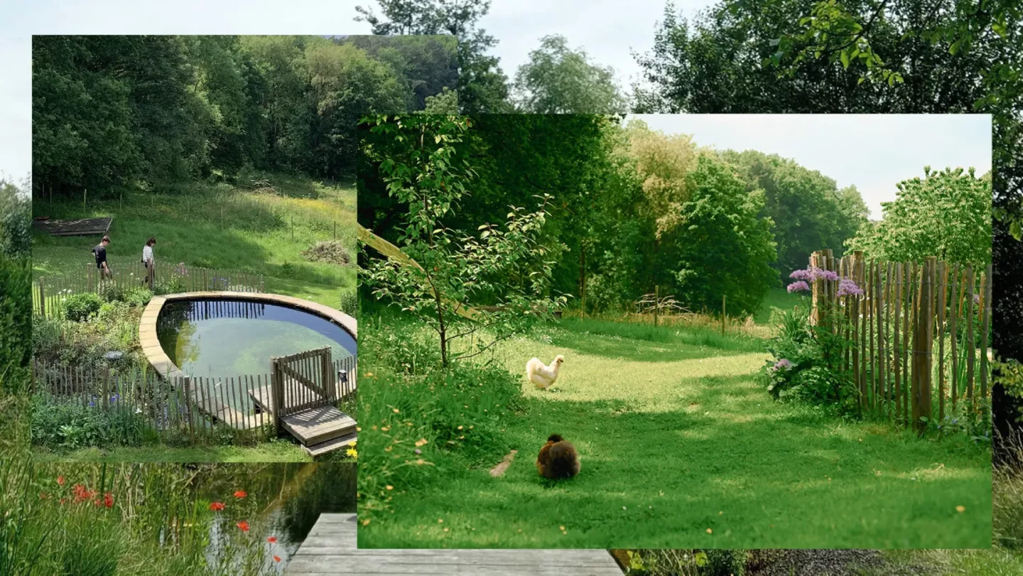 Tuinontwerp en aanleg