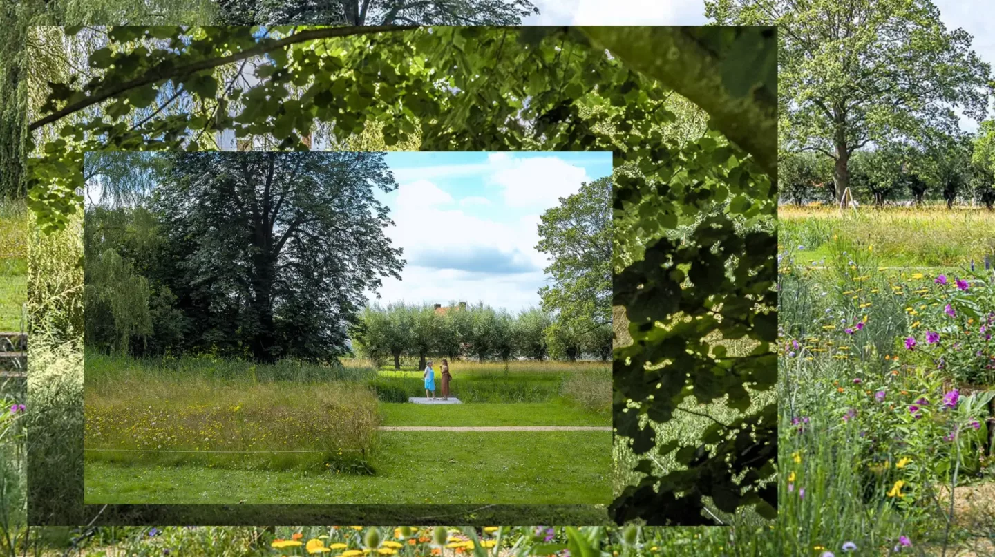 Van ontwerp tot beheer